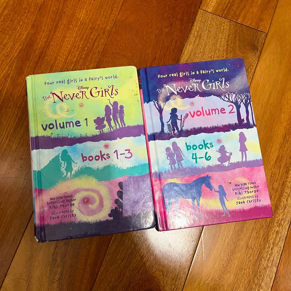 Disney The Never Girls books 💋add to bundle💋